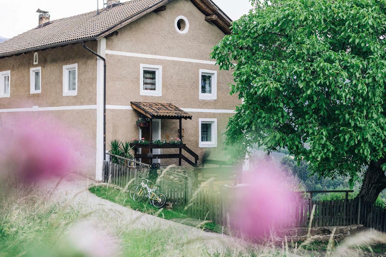 Villa Untersteinhaus à Aldino Extérieur photo